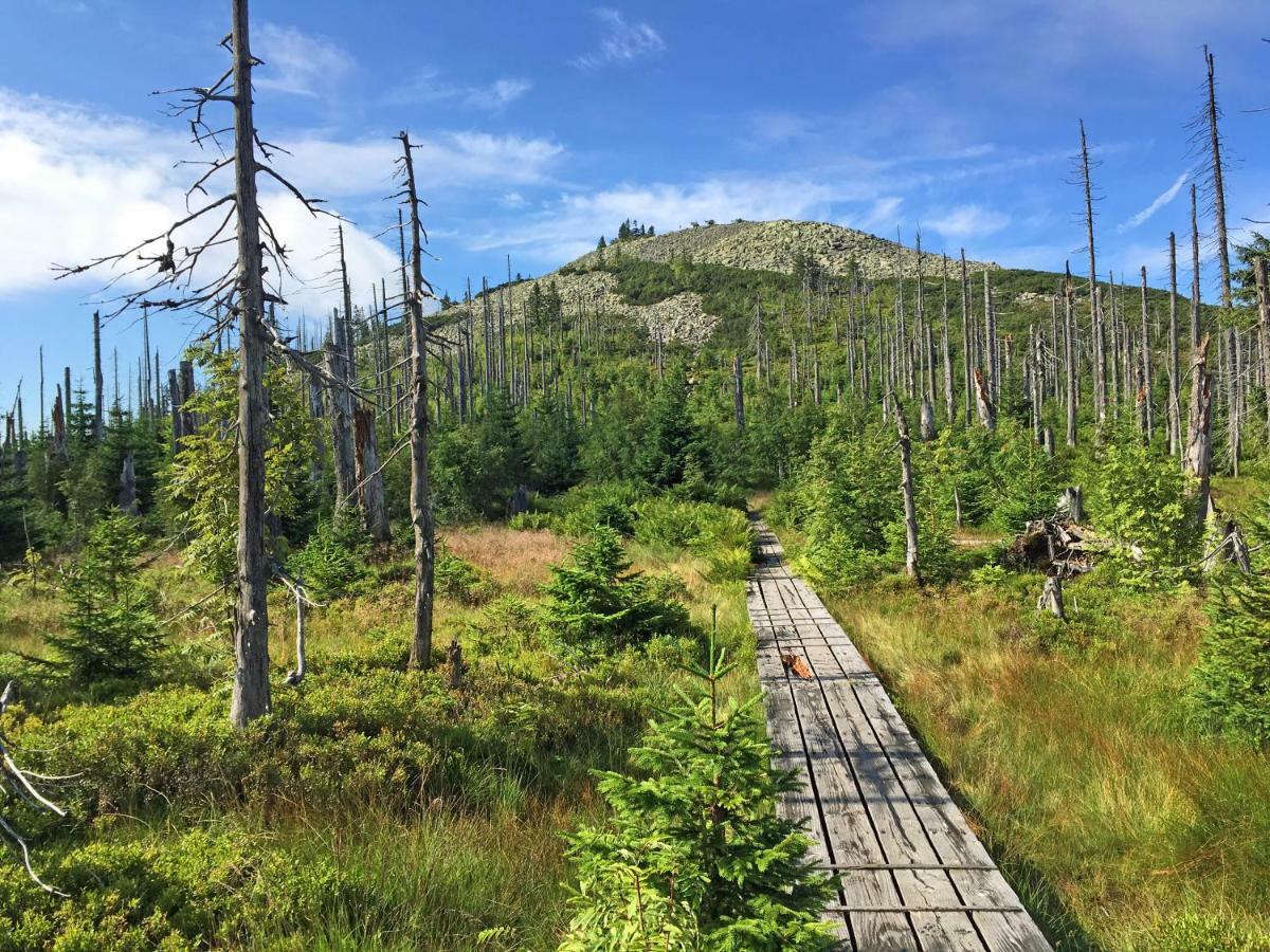 Ferienwohnung Fernblick Neukirchen vorm Wald Eksteriør bilde